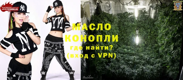 mdpv Бородино