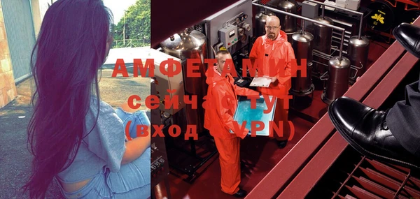 mdpv Бородино