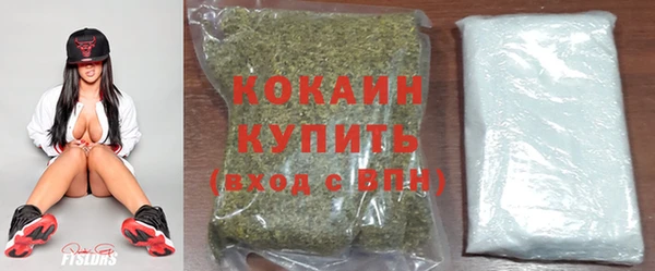 mdpv Бородино