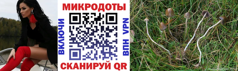 Галлюциногенные грибы MAGIC MUSHROOMS  магазин  наркотиков  Называевск 